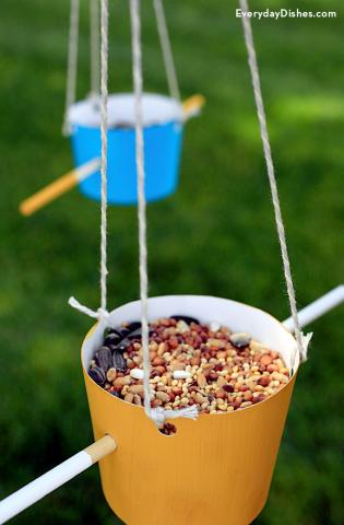 DIY Bird Feeder
