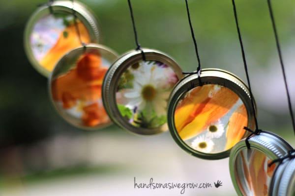nature suncatcher